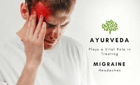 dr satyarapelli Ayurveda wellness solutions